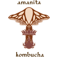 Amanita Kombucha