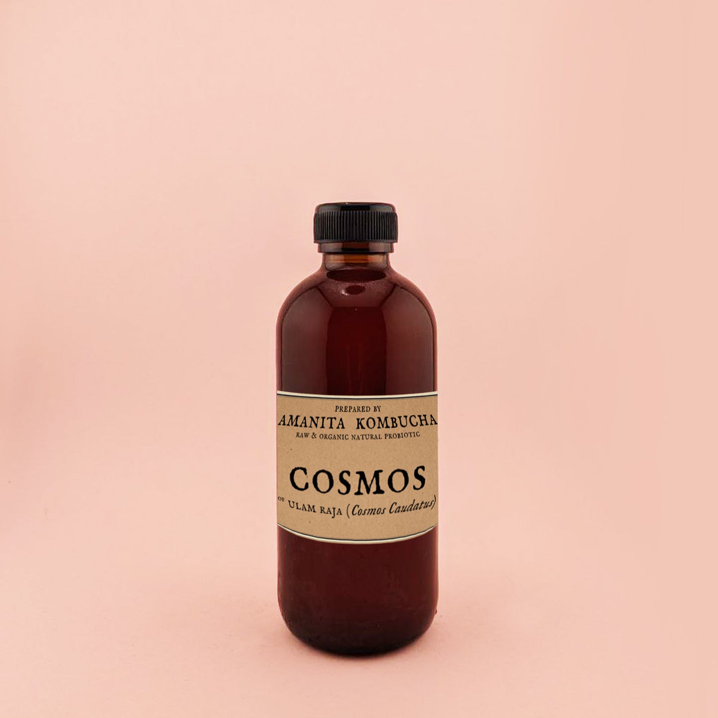 Cosmos Kombucha