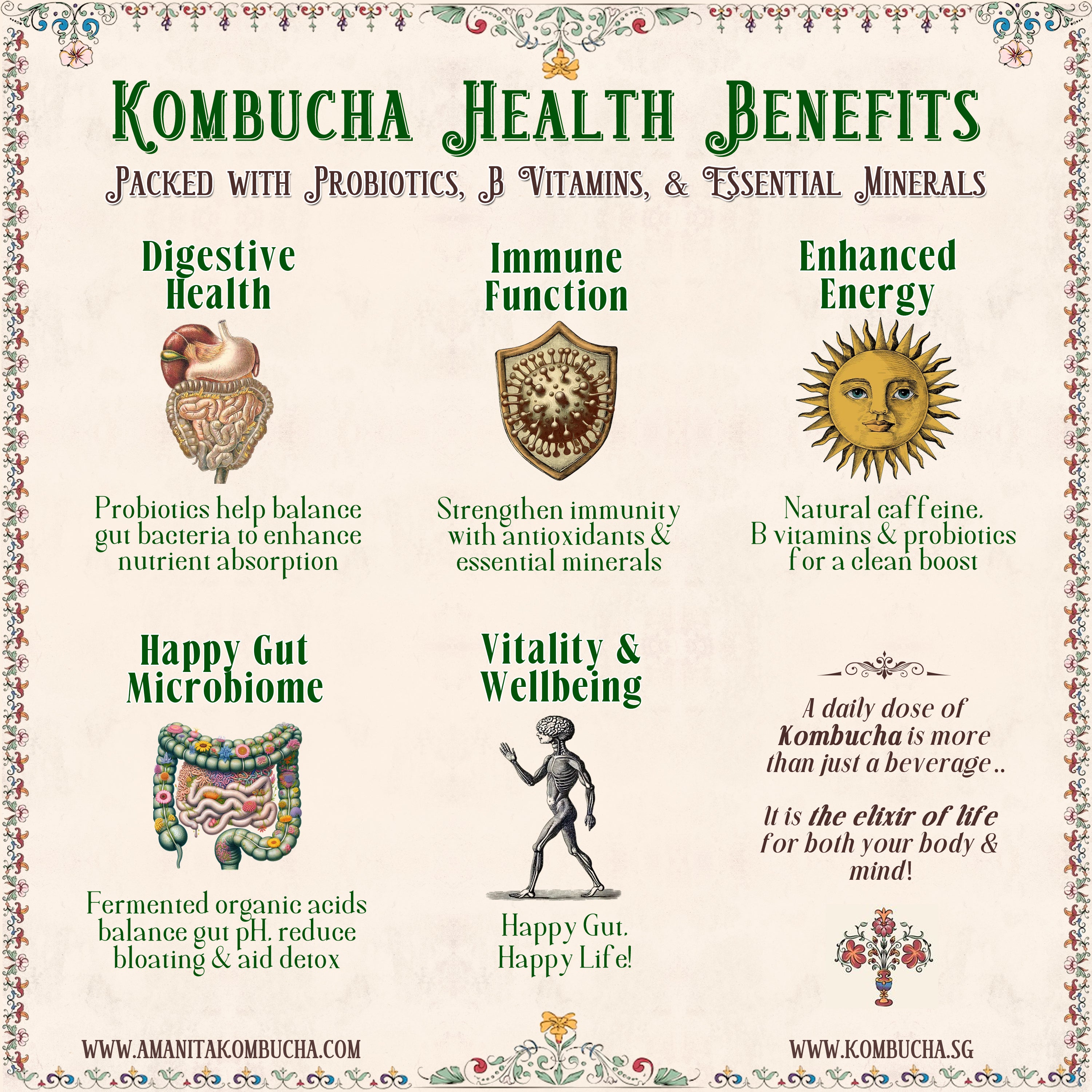 Kombucha offers several health benefits due to its rich content of probiotics, antioxidants, and B vitamins. These nutrients can contribute to improved overall health and wellness in  enhancing digestion, and strengthening immunity and gut health.